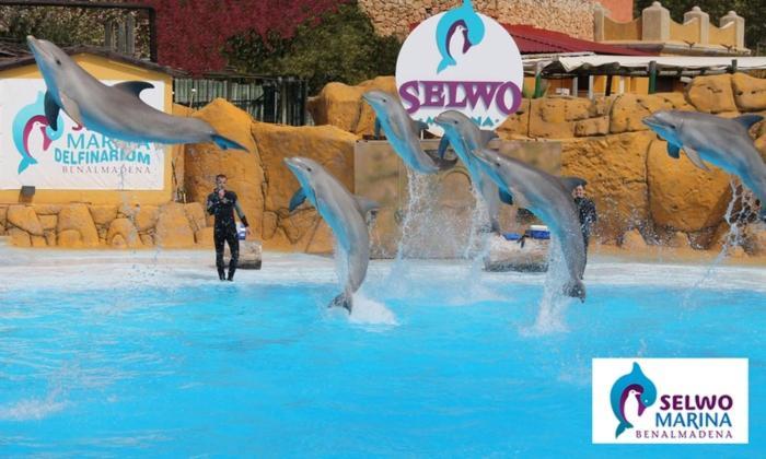 Sweet Dreams Benalbeach Benalmadena Ngoại thất bức ảnh